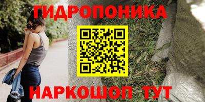 стаф Гагарин