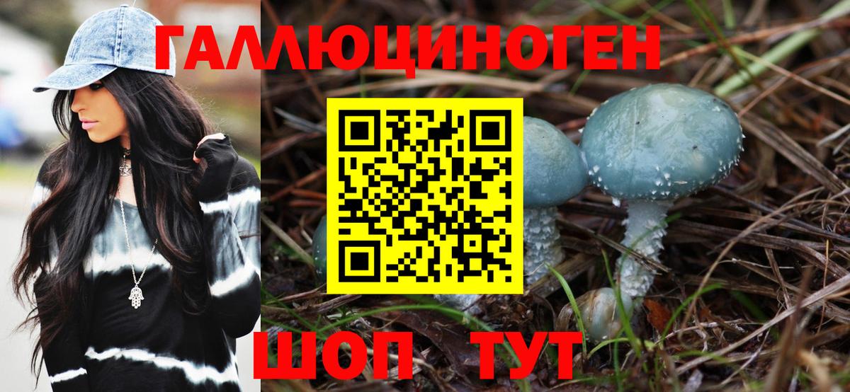 Галлюциногенные грибы Psilocybe  Вход с VPN  Нижнеудинск  Псилоцибиновые грибы мицелий 